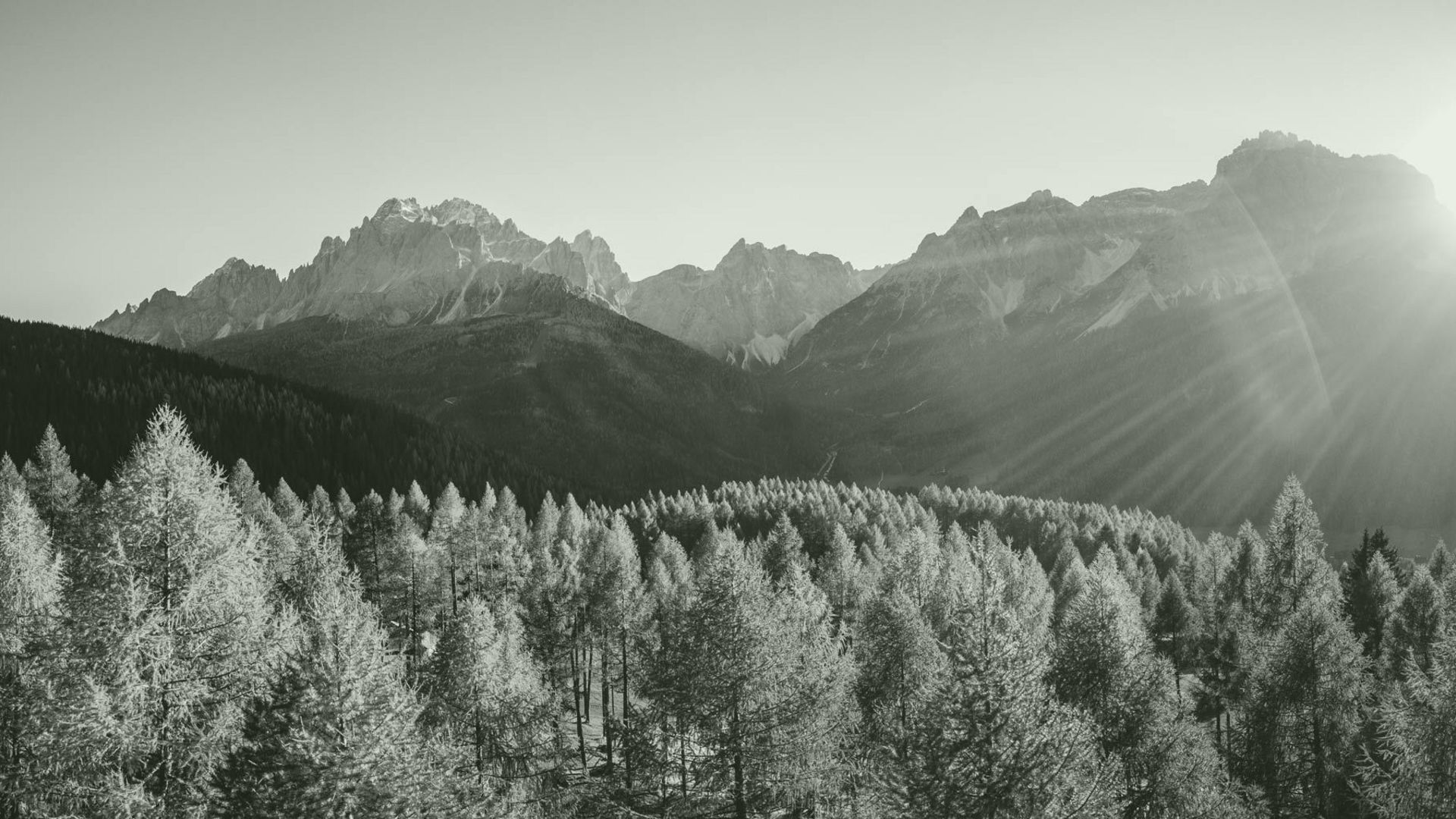 Così è nato il Gamz - Appartamento vacanze Val Pusteria Così è nato il Gamz - Appartamento vacanze Val Pusteria