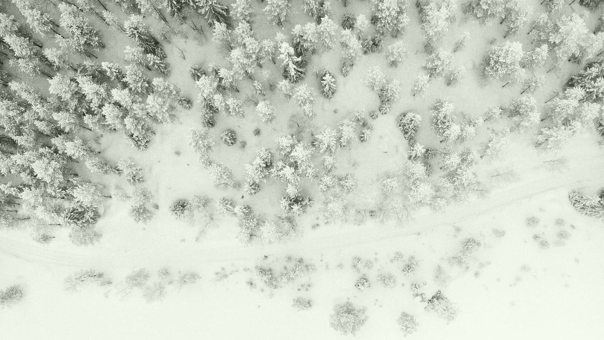 Winterurlaub in Sexten, Ihr Appartement in den Dolomiten